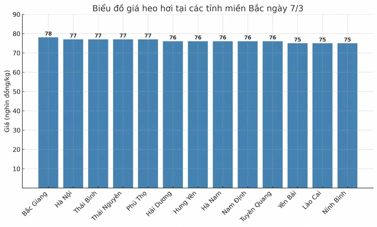 Biểu đồ giá heo hơi tại các tỉnh miền Bắc ngày 7/3.