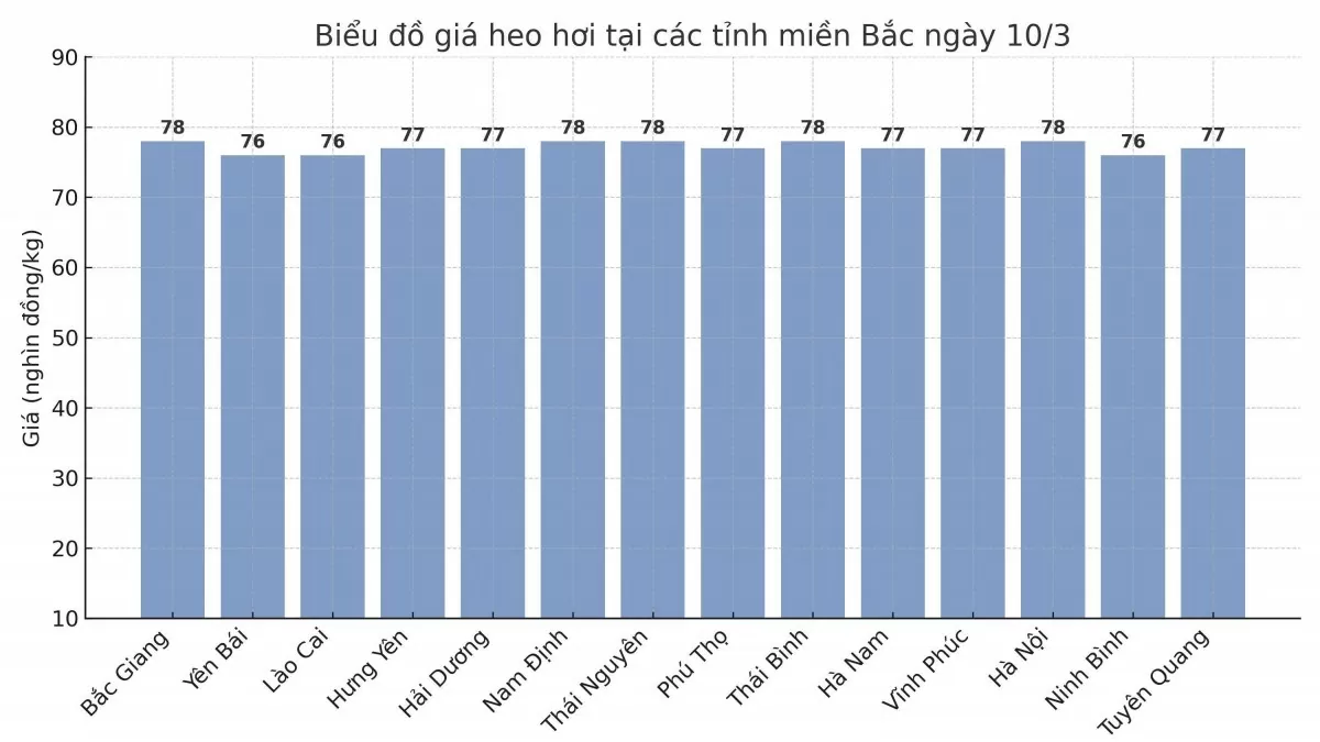 Biểu đồ giá heo hơi tại các tỉnh miền Bắc ngày 10/3.