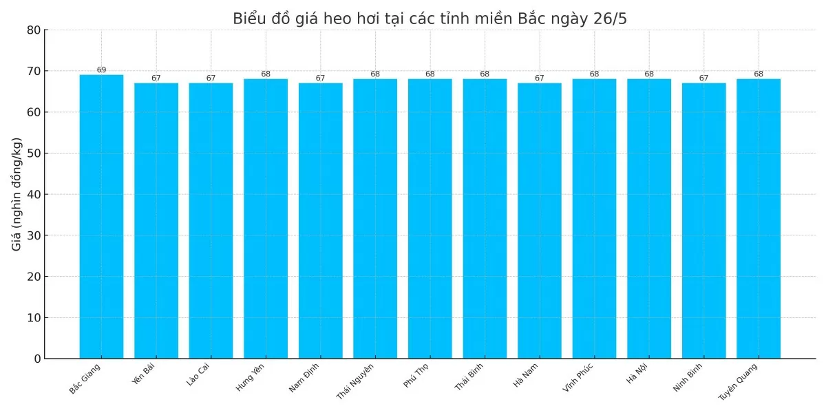 Biểu đồ giá heo hơi tại các tỉnh miền Bắc ngày 26/5.