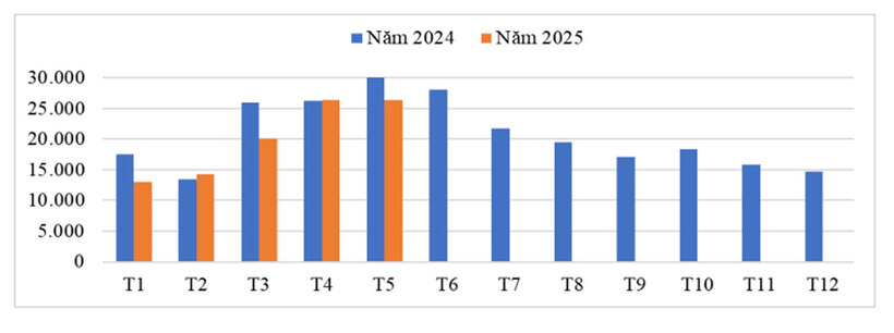 Lượng hạt tiêu xuất khẩu qua các tháng năm 2024 - 2025. Nguồn: Cục Hải quan