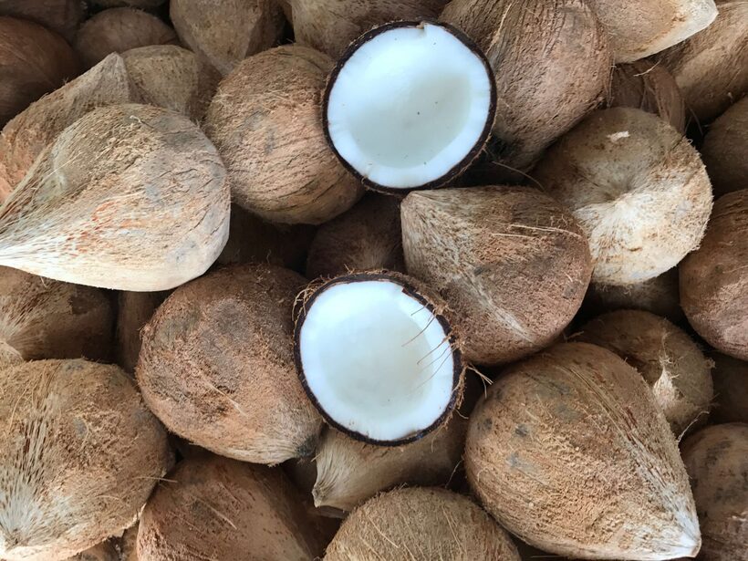 4 tháng đầu năm, Việt Nam đã chi 7,2 triệu USD để nhập khẩu dừa chế biến, tăng 11,3 lần so với cùng kỳ năm ngoái. Ảnh minh họa