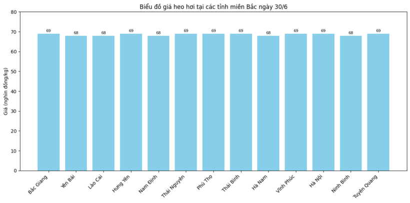 Biểu đồ giá heo hơi tại các tỉnh miền Bắc ngày 30/6.