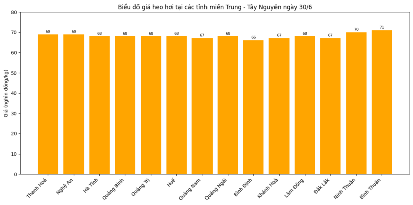 Biểu đồ giá heo hơi tại các tỉnh miền Trung - Tây Nguyên ngày 30/6.