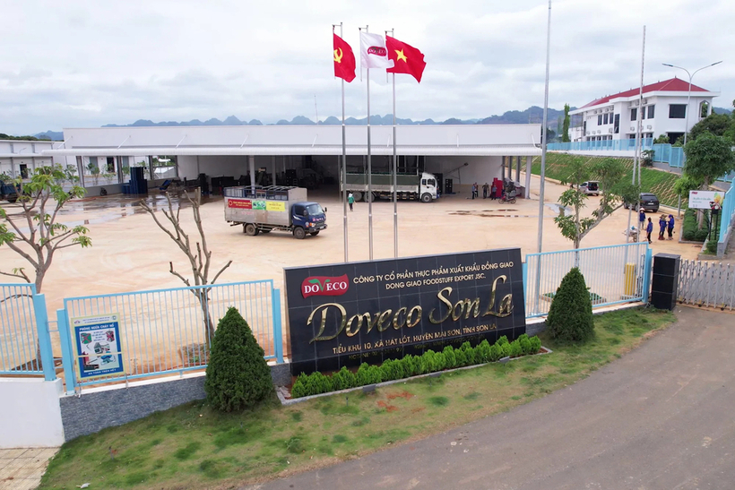 Trung tâm chế biến rau quả Doveco Sơn La - một trong những nhà máy hiện đại hàng đầu khu vực miền núi phía Bắc. (Ảnh: ST)