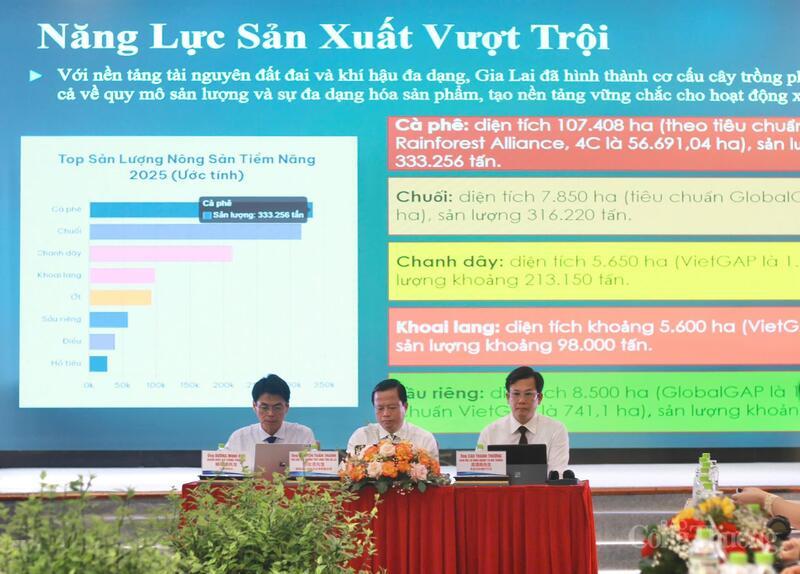 Các đại biểu chủ trì hội nghị. Ảnh: Hiền Mai