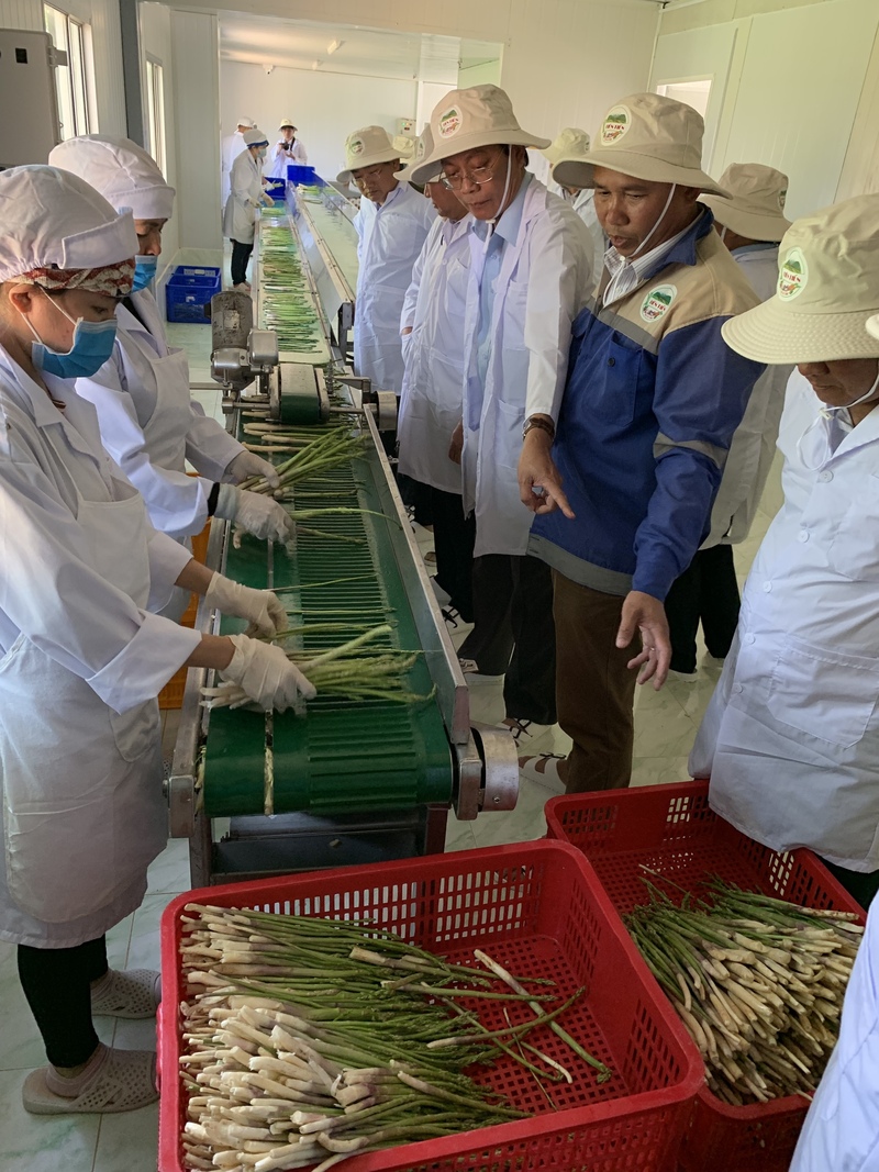 Ông Nguyễn Văn Tiến (đứng thứ 2 từ phải sang) đang giới thiệu quy trình sơ chế, bảo quản măng tây theo tiêu chuẩn organic của Hoa Kỳ.