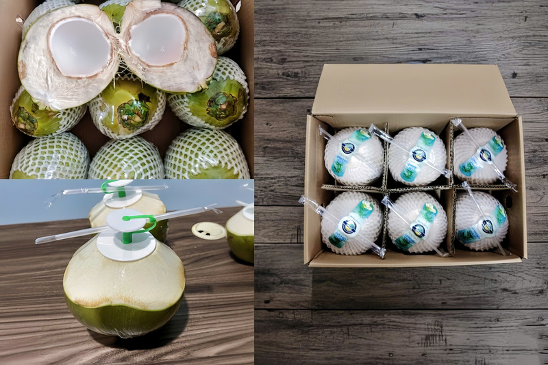 Mỗi lô hàng dừa tươi xuất khẩu đều được kiểm tra kỹ lưỡng từ khâu nhập dừa đến khâu đóng gói.