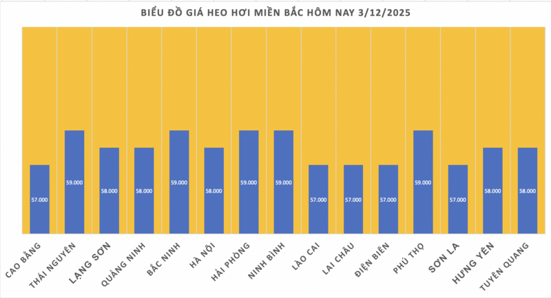 Giá heo hơi hôm nay 3/12/2025: Tăng mạnh đến 4.000 đồng/kg - 1
