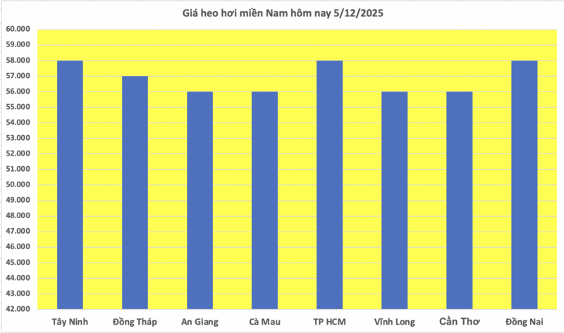 Giá heo hơi hôm nay 5/12/2025: Tiếp tục lập đỉnh mới - 3