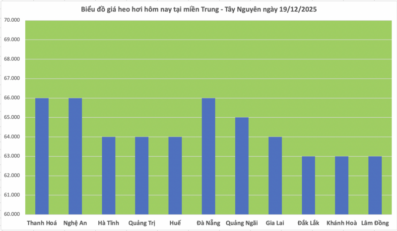Giá heo hơi hôm nay 19/12/2025: Miền Bắc lập đỉnh mới 68.000 đồng/kg - 2