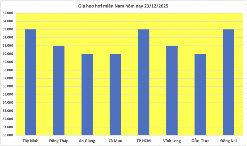 Giá heo hơi hôm nay 23/12/2025: Miền Bắc tiếp đà tăng - 3