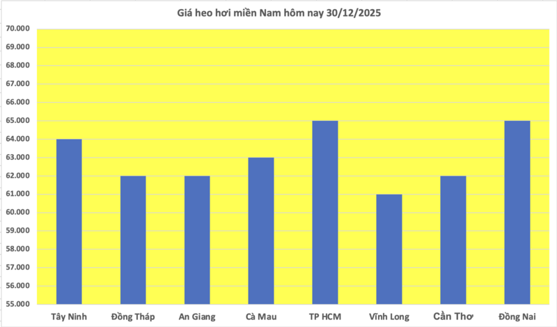 Giá heo hơi hôm nay 30/12/2025: Biến động trái chiều - 3