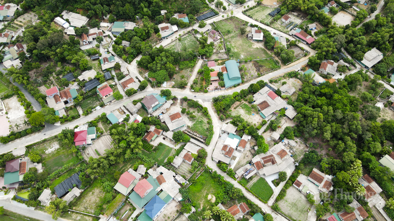 Xã Thạch Khê từ lâu đã nức tiếng là “thủ phủ” trầu không lớn nhất tỉnh Hà Tĩnh. Nghề trồng trầu nơi đây không chỉ là nét đẹp truyền thống mà còn là nguồn thu nhập chính của hàng trăm hộ gia đình.