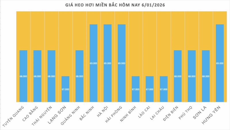 Giá heo hơi hôm nay 6/1/2026: Tăng 1.000 đồng - 1