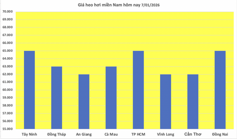 Giá heo hơi hôm nay 7/1/2026: Miền Bắc trở lại đỉnh 70.000 đồng/kg - 3
