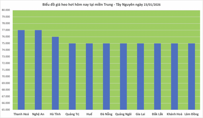 Giá heo hơi hôm nay 23/1/2026: Lên mốc 79.000 đồng/kg - 2