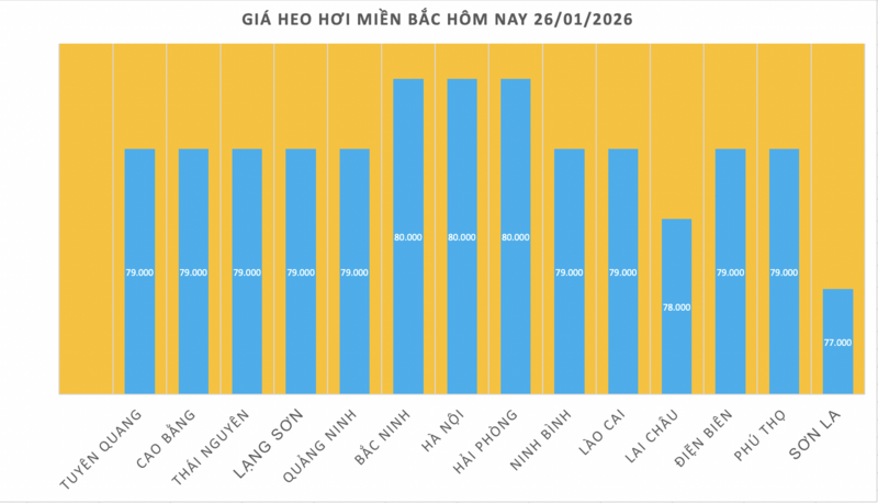 Giá heo hơi hôm nay 26/1/2026: Tăng rải rác - 1