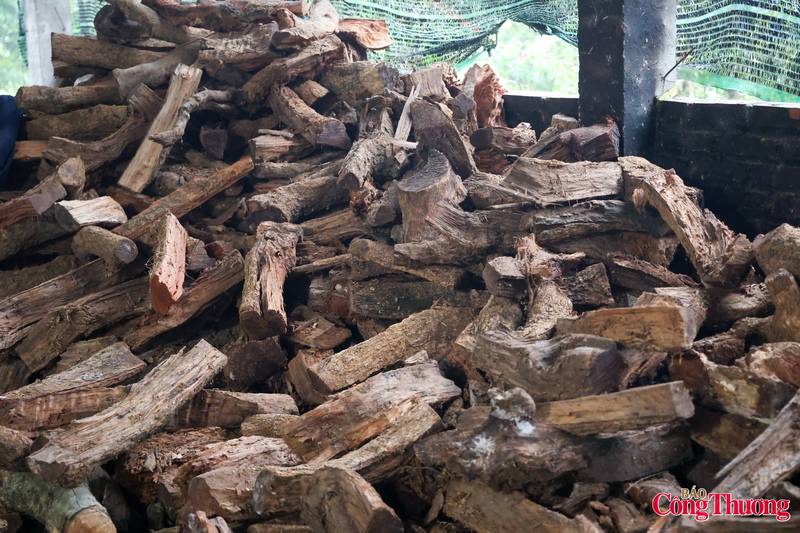 Ngoài ra, để nồi cá kho được ngon và mềm, củi kho cá phải là củi nhãn, bởi nhiệt lớn, cháy ổn định, nhiều than phù hợp với việc ủ cá.