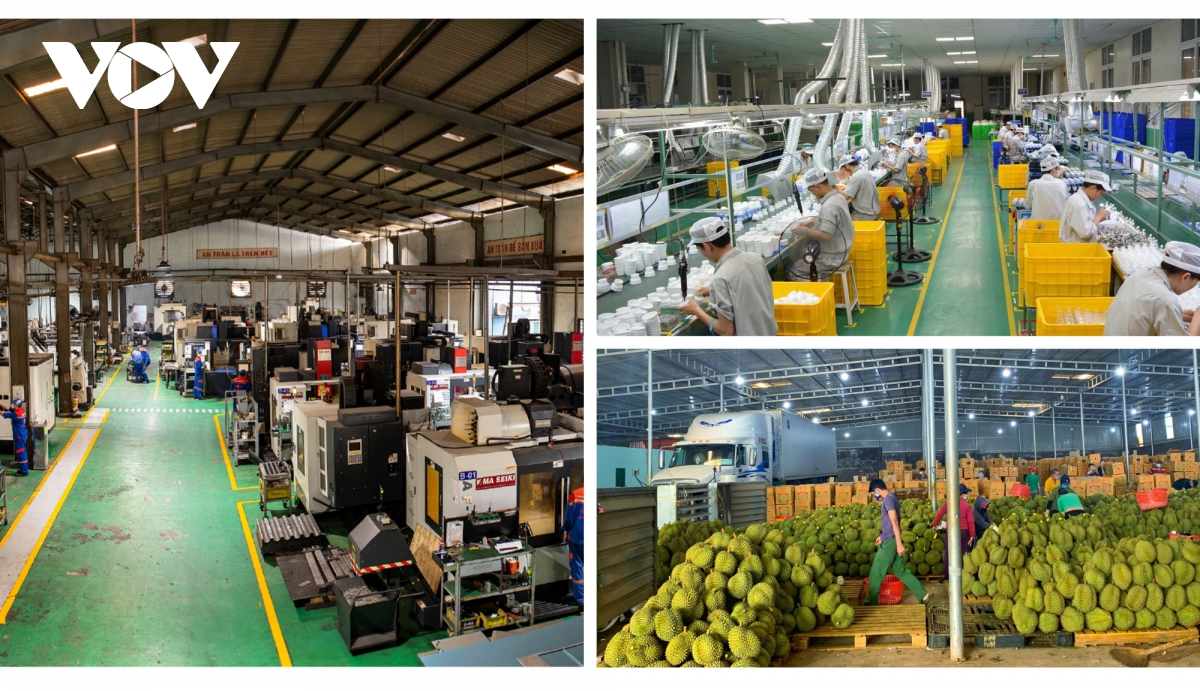 Cần một chiến lược phát triển doanh nghiệp dân tộc