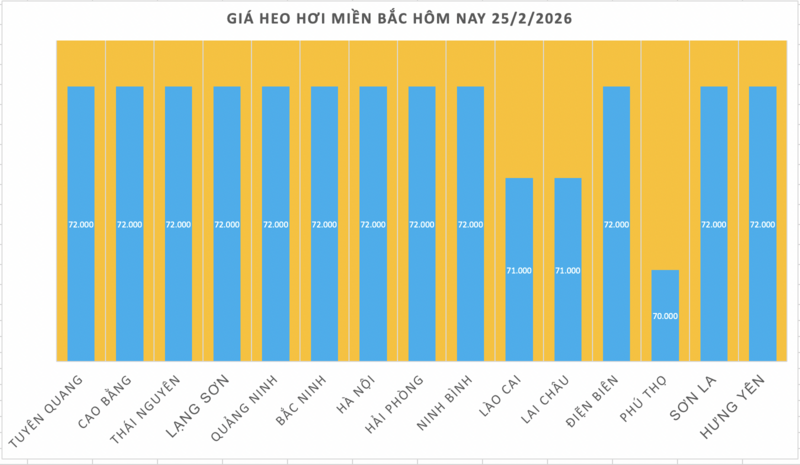 Giá heo hơi hôm nay 25/2/2026: Tiếp đà đi xuống - 1