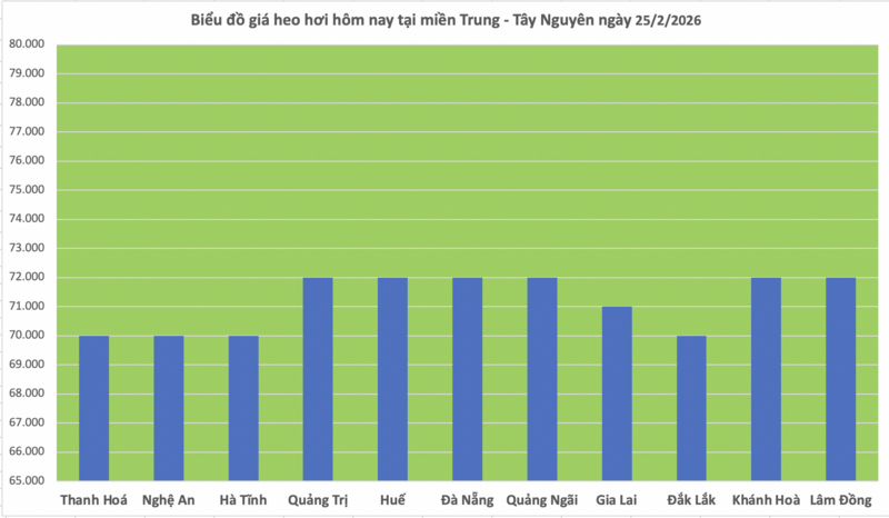 Giá heo hơi hôm nay 25/2/2026: Tiếp đà đi xuống - 2