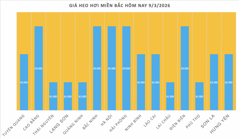 Giá heo hơi hôm nay 9/3/2026: Đang trên đà giảm - 1
