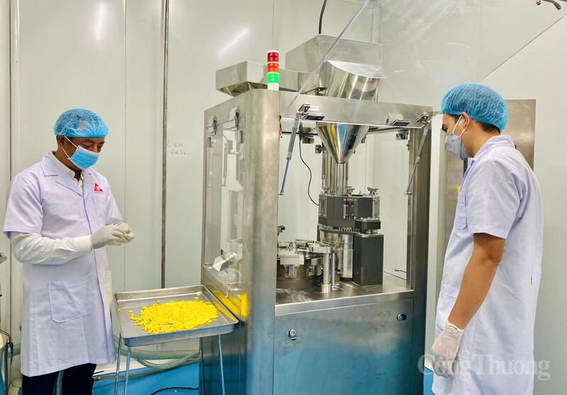 Chương trình “Hành trình Quốc bảo Sâm Việt Nam & Chuẩn hóa dược liệu Việt”sẽ bao gồm các hoạt động khảo sát thực tế và tham quan mô hình sản xuất. Ảnh minh hoạ