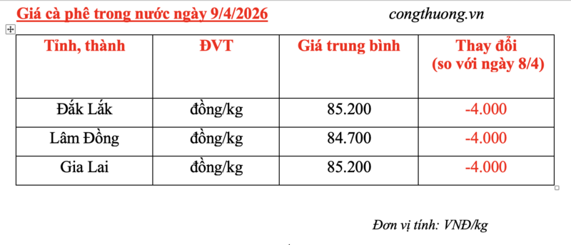 Giá cà phê hôm nay 9/4/2026: Giảm 'sốc' 4.000 đồng/kg - 4