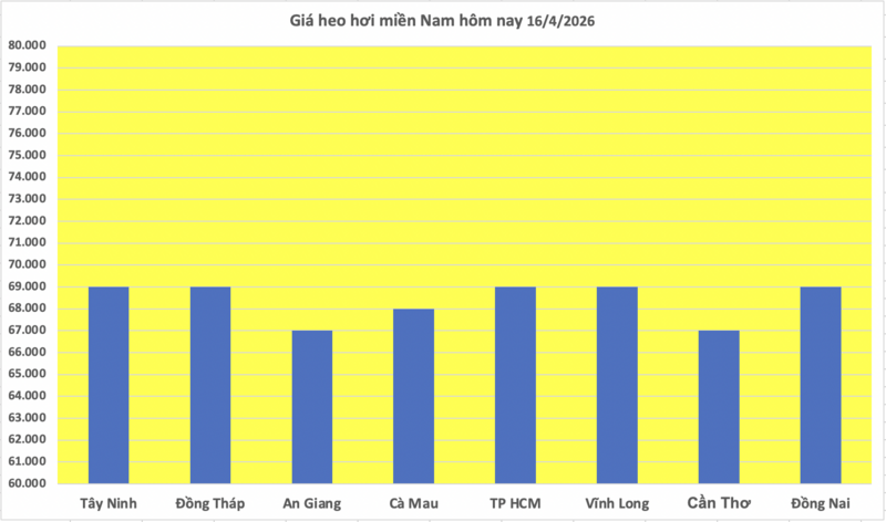 Giá heo hơi hôm nay 16/4/2026: Tăng rải rác tại miền Nam - 3