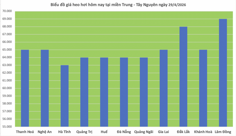 Giá heo hơi hôm nay 29/4/2026: Tiếp tục neo cao - 2