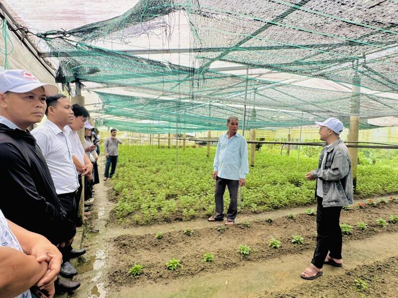 Chính quyền, người dân các địa phương trong khu vực tìm hiểu, nghiên cứu các mô hình trồng rau, hoa... hiệu quả ở xã A Lưới 2. Ảnh: Nguyễn Tuấn
