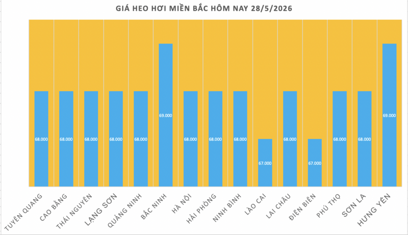 Giá heo hơi hôm nay 28/5/2026: Đảo chiều, giảm rải rác trên cả 3 miền - 1