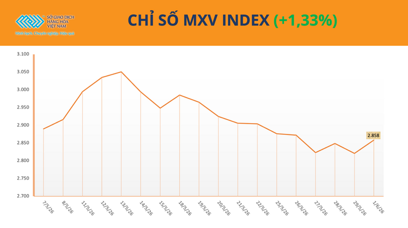 Chỉ số MXV-index