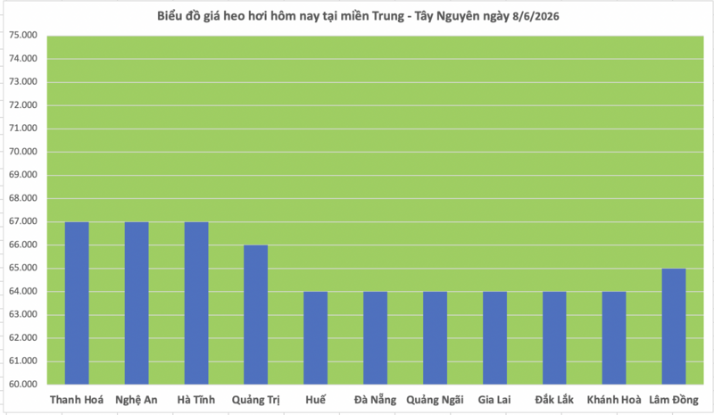 Giá heo hơi hôm nay 8/6/2026: Duy trì ổn định - 2