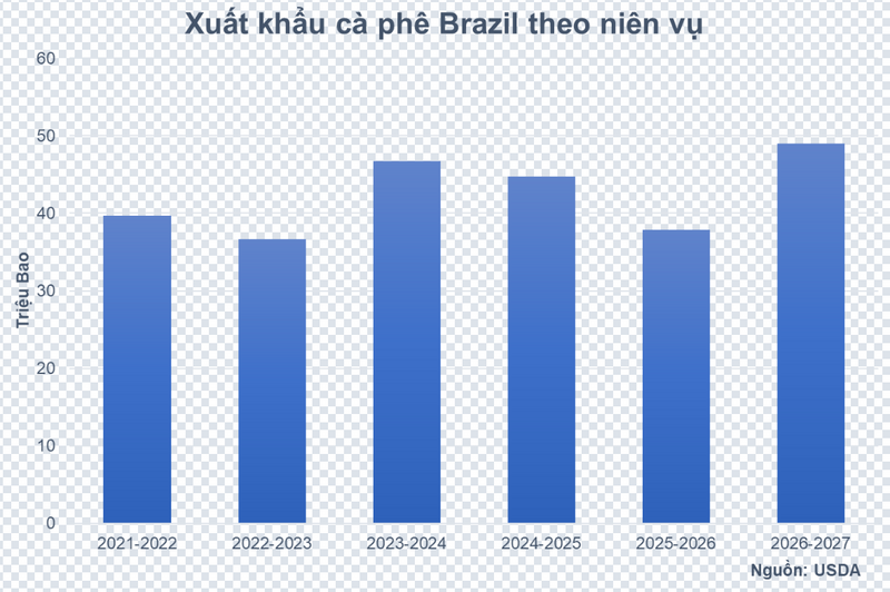 Xuất khẩu cà phê Brazil theo niên vụ. Nguồn: MXV