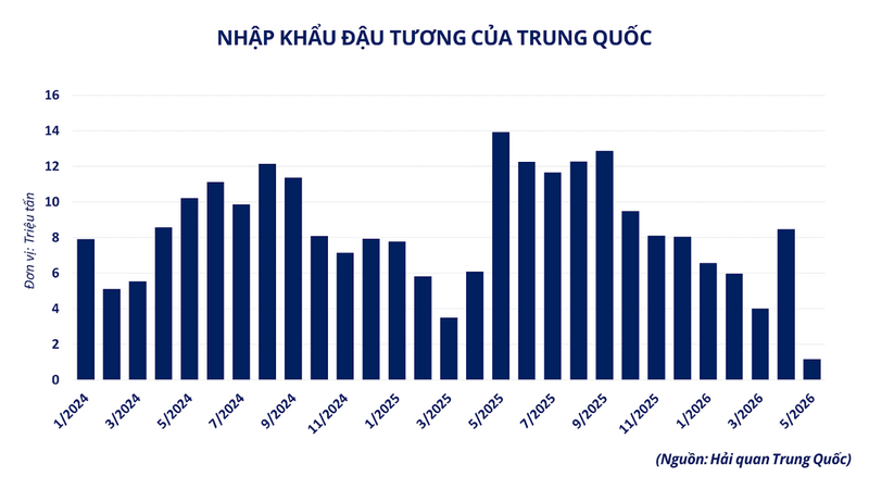 Nhập khẩu đậu tương của Trung Quốc. Nguồn: MXV