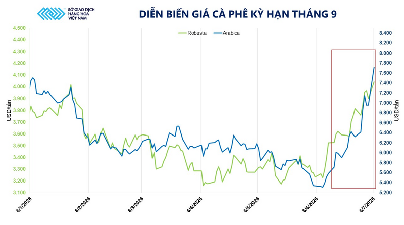 Diễn biến giá cà phê kỳ hạn tháng 9. Nguồn: MXV
