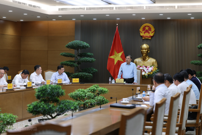 Phó Thủ tướng Thường trực Phạm Gia Túc kết luận cuộc họp, nhấn mạnh việc triển khai Dự án điện hạt nhân Ninh Thuận 1 và Ninh Thuận 2 là chủ trương lớn của Đảng và Nhà nước - Ảnh: VGP/Phương Nguyên