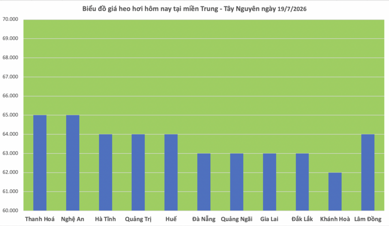 Giá heo hơi hôm nay 19/7/2026: Cao nhất 67.000 đồng/kg - 2