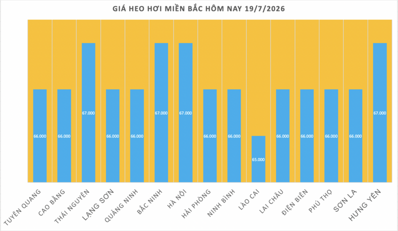 Giá heo hơi hôm nay 19/7/2026: Cao nhất 67.000 đồng/kg - 1