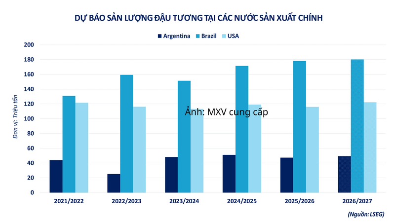 Dự báo sản lượng đậu tương tại các nước sản xuất chính.