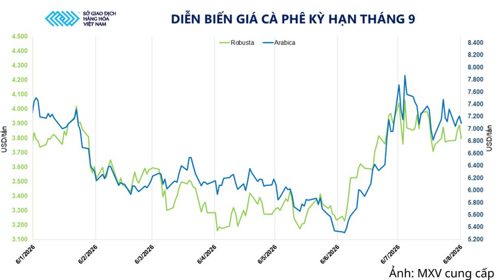 Diễn biến giá cà phê kỳ hạn tháng 9