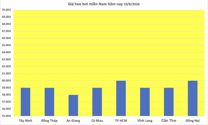 Giá heo hơi hôm nay 10/8/2026: Giảm đồng loạt tại nhiều nơi - 3