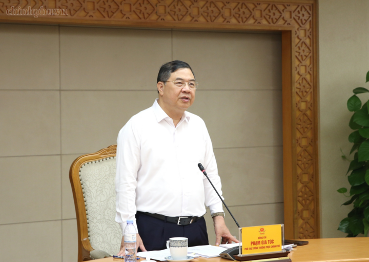 Phó Thủ tướng Thường trực Chính phủ Phạm Gia Túc yêu cầu Bộ Ngoại giao tiếp thu đầy đủ ý kiến phát biểu tại cuộc họp, hoàn thiện dự thảo Nghị định, trình Chính phủ xem xét, quyết định - Ảnh: chinhphu.vn/Nguyễn Hoàng