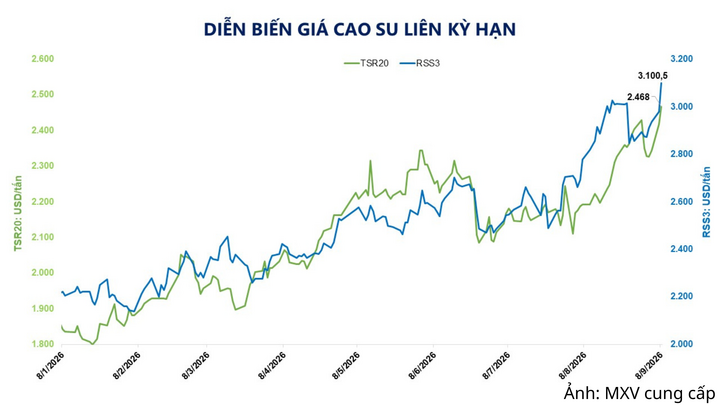 Diễn biến giá cao su liên kỳ hạn.