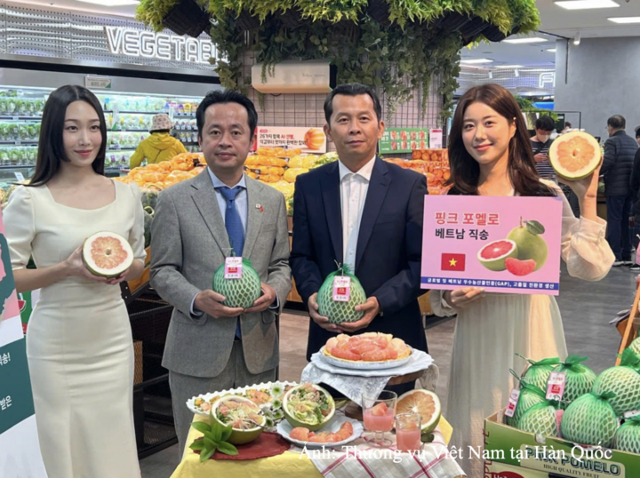 Ngày 10/4/2025, bưởi Việt Nam chính thức được bày bán tại hệ thống siêu thị Lotte Mart, Hàn Quốc, với sự hỗ trợ của Thương vụ Việt Nam tại Hàn Quốc.