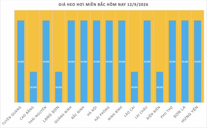 Giá heo hơi hôm nay 12/9/2026: Đi ngang trên cả 3 miền - 1