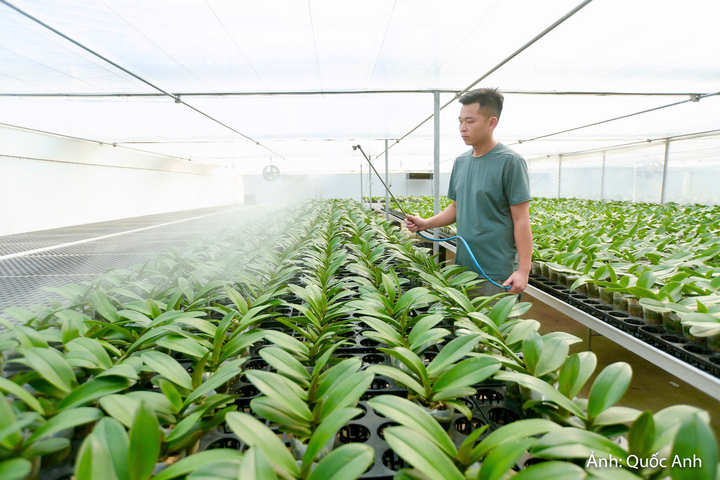 Nguồn điện của hầu hết những công cụ, vật dụng chăm sóc lan được lấy từ hệ thống điện mặt trời áp mái.