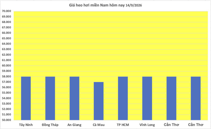 Giá heo hơi hôm nay 14/9/2026: Đồng loạt chững giá - 3