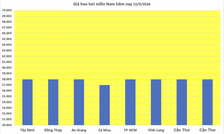 Giá heo hơi hôm nay 15/9/2026: Tăng tại 2 địa phương miền Bắc - 3